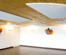Acoustic Panel 2V Blue Equilibre - TD ACOUSTIC - Réalisation acoustique de la Salle de restauration du personnel de l'hopital de La Tronche - A La Tronche le 29 janvier 2016 - Photo Gilles BERTRAND